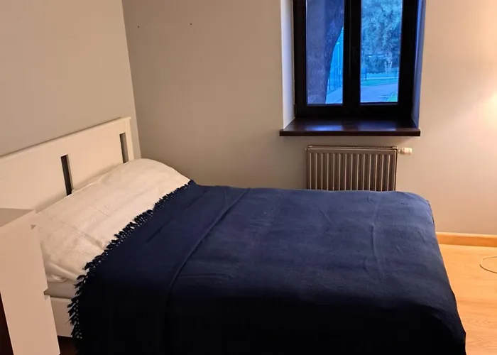 Apartment Pod Starym Debem